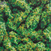 Шкурка для скейтборда dipGrip Greens